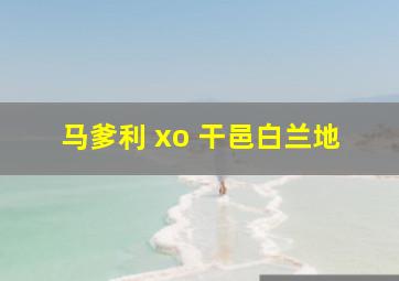 马爹利 xo 干邑白兰地